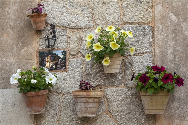 Typical tile and flower decoration, Valldemossa, Majorca, Balearic Islands, Spain, Europe