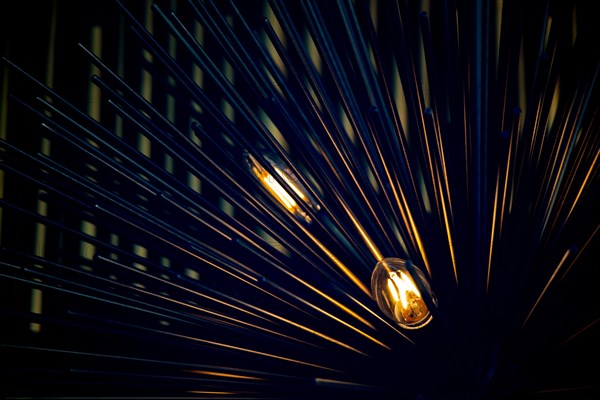 Decorative style filament light bulbs in view