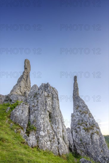 Stone Virgins, rock needles in the Eselsburg Valley, landscape of the Swabian Alb near Herbrechtingen, Baden-Wuerttemberg, Germany, Europe