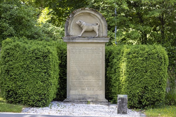 Pug monument erected in the park of the Centre for Psychiatry in front of Winnental Castle. A pug carved in stone commemorates the dog of Duke Karl Alexander, Winnenden, Baden-Wuerttemberg, Germany, E...