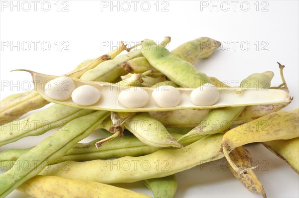 Paimpol coco beans