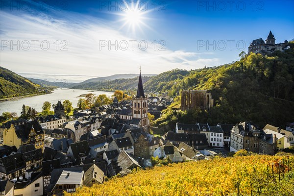 Vineyards and town, St. Peters Parish Church and church ruins of Werner Chapel and Stahleck Castle, Bacharach, Upper Middle Rhine Valley, UNESCO World Heritage Site, Rhine, Rhineland-Palatinate, Germa...