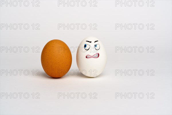 Funny Eggs. Faces on the eggs Eggs Smiles. Studio