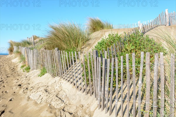 Protection of the sand dunes in the Camargue, Espiguette beach. Le Grau du Roi, Provence-Alpes-Cote dAzur, France, Europe