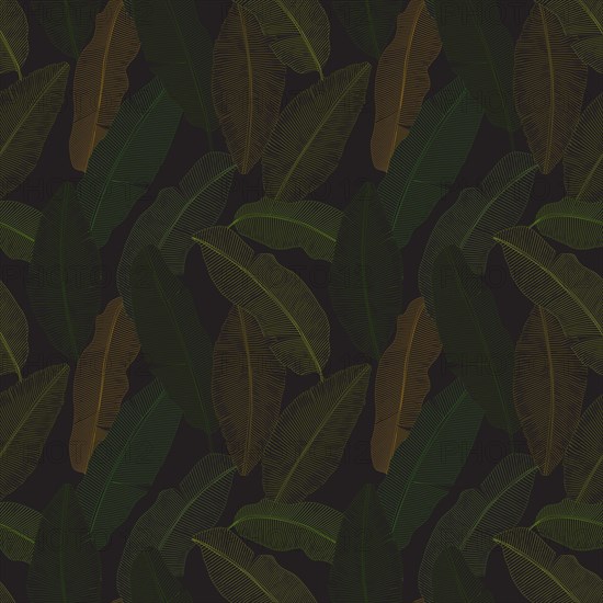 Vector banana leaves seamless pattern within line art style