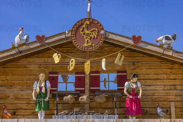 Wiesnaufbau, Hendlbraterei Goldener Hahn, Oktoberfest, Theresienwiese, Munich, Upper Bavaria, Bavaria, Germany, Europe
