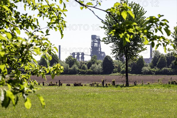 Blast furnace of Huettenwerke Krupp Mannesmann, HKM, behind the orchard meadows along the Rhine, Rheinaue Friemersheim nature reserve, Duisburg, North Rhine-Westphalia, North Rhine-Westphalia, Germany...