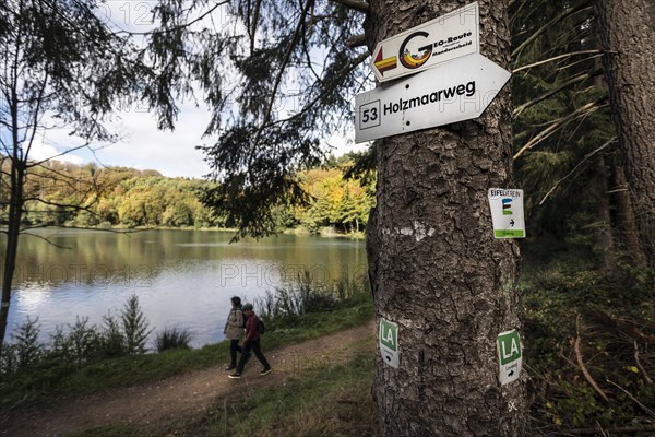 Holzmaar in the Volcanic Eifel, almost completely surrounded by forest, hiking trail, Holzmaarweg, geo-route, lava trail, circular trail, maar, maar, lake, nature reserve, Gillenfeld, Rhineland-Palati...