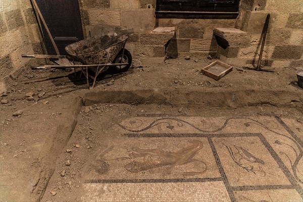 Excavation of mosaic floors, Grand Masters Palace built in the 14th century by the Johnnite Order, Fortress and Palace for the Grand Master, UNESCO World Heritage Site, Old Town, Rhodes Town, Greece, ...