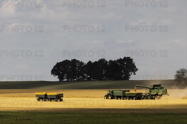 A combine harvester threshes in a grain field in Markersdo, Markersdorf, Germany, Europe