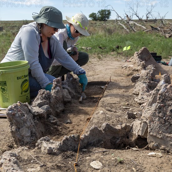 Granada, Colorado, The University of Denver Archaeology Field School at the World War 2 Amache Japanese internment camp. Camp survivors and descendents joined students in researching the camps history...