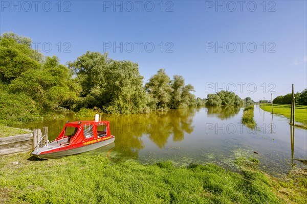 Flooding after heavy rain in North Rhine-Westphalia in the nature reserve at the Grietherorter and Bienener Altrhein, road flooded, boat of the fire brigade Rees, Rees, North Rhine-Westphalia, Germany...
