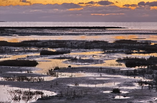 Evening landscape shortly after sunset with draining water in the Wadden Sea National Park. The Wadden Sea off the North Frisian coast is a UNESCO World Heritage Site. Dike at Strandweg, Friedrichskoo...