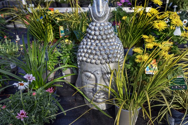 Buddha head between flowers, Allgaeu, Bavaria, Germany, Europe