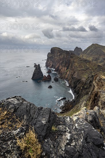 Coastal landscape