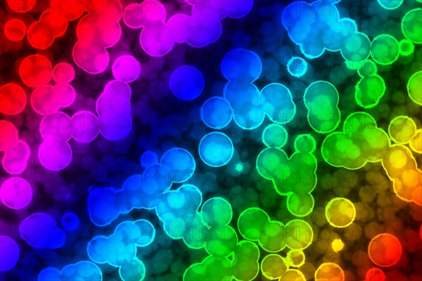 Shape of bacterial cell: cocci