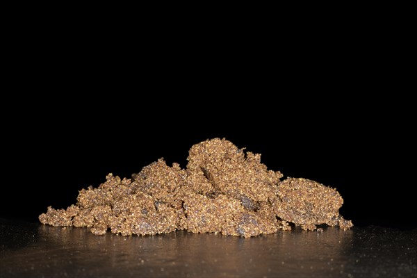 Dark malty muscovado sugar