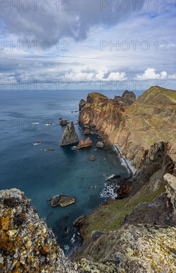 Coastal landscape