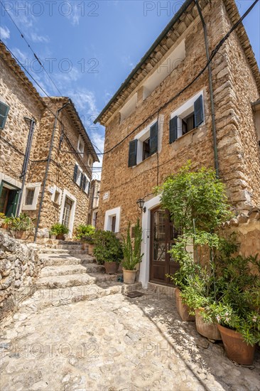 Flower pots in an alley with typical stone houses
