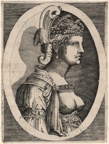 Minerva