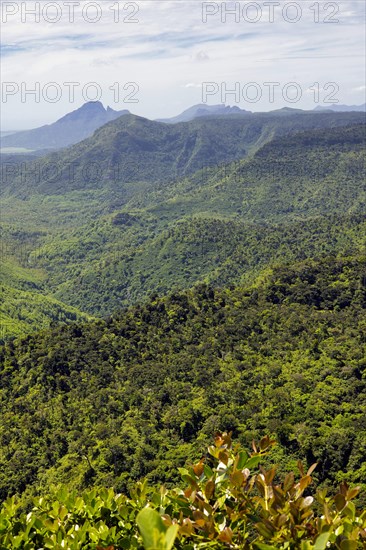 View of Black River Gorges National Park