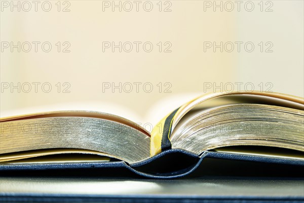 Golden Book of the State Capital Stuttgart