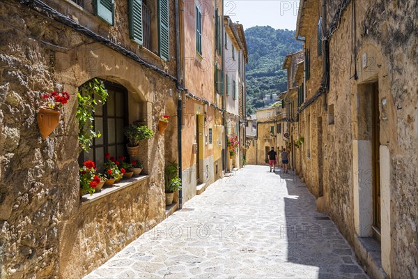 Flower pots in alley with typical stone houses