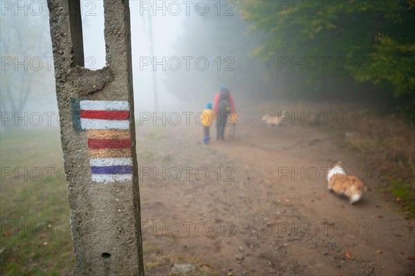 Mum and her little son go on a mountain trail in wet autumn weather. They are accompanied by a dog. Polish mountains