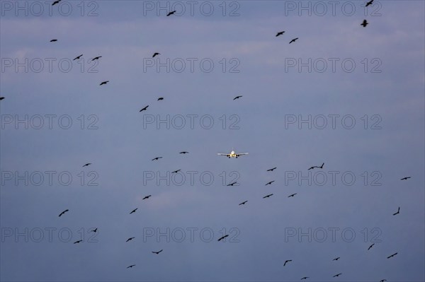 Aircraft on approach