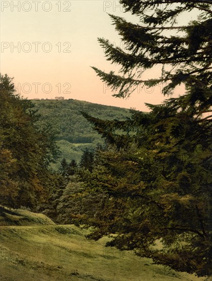 The Inselsberg
