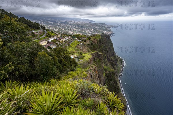 View of the cliffs from the viewing platform
