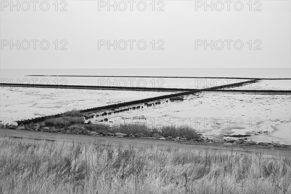 Wadden Sea National Park near Keitum