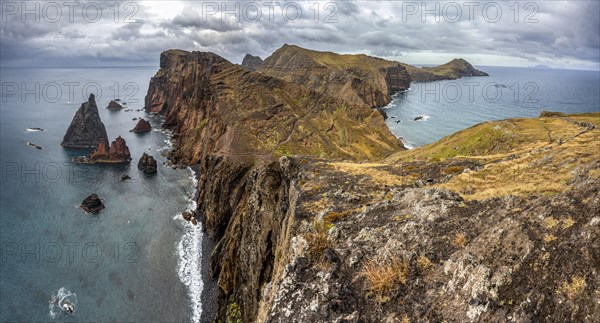 Coastal landscape