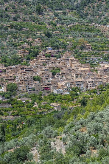 View of typical houses of the mountain village Fornalutx with mountain landscape