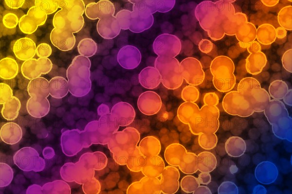 Shape of bacterial cell: cocci