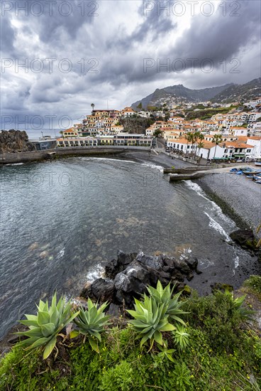 Harbour and houses
