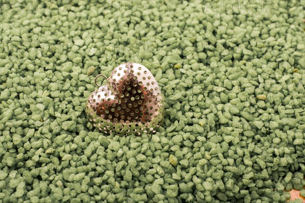 Silver color metal heart shape icon on green hand