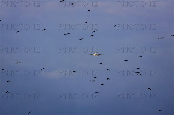 Aircraft on approach