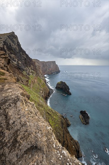 Coastal landscape