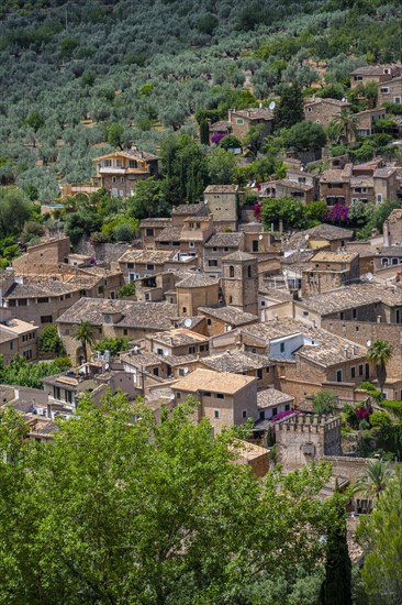 View of typical houses of the mountain village Fornalutx with church Parroquia catolica La Natividad de la virgen Maria