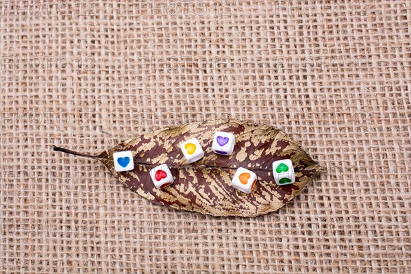 Colorful cubes with a heart on leaf on canvas
