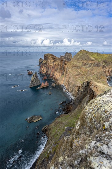Coastal landscape