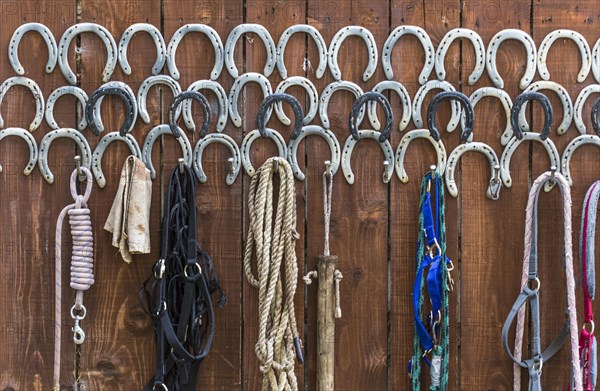 Horseshoes and riding accessories