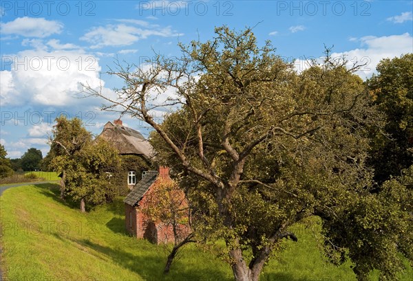 Farmhouse with apple tree and bread baking house in Werderland