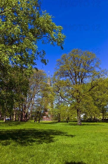 In the castle park