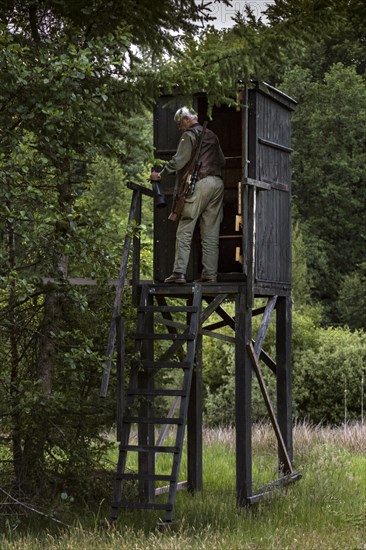 Hunter at a raised hide