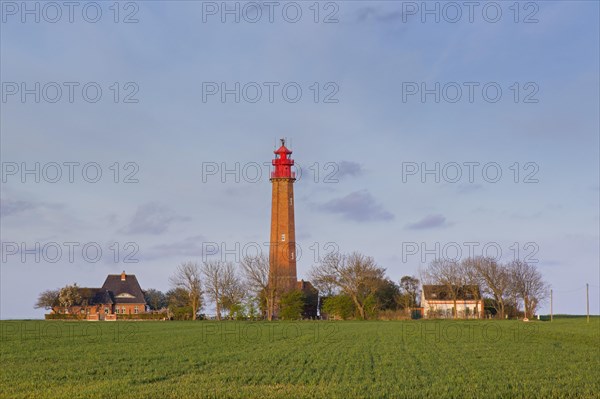 Fluegge