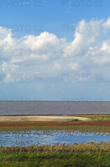 Wadden Sea at high tide