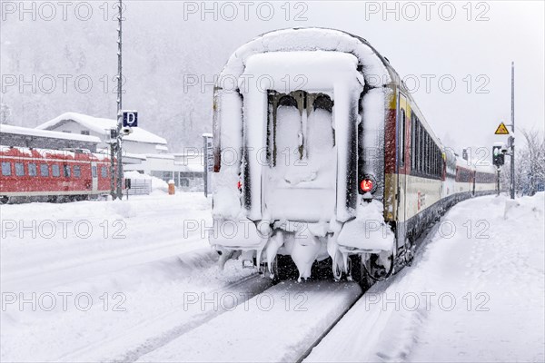 Train in the station