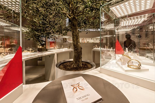 Olive tree in the stand of Juwelier Niessing